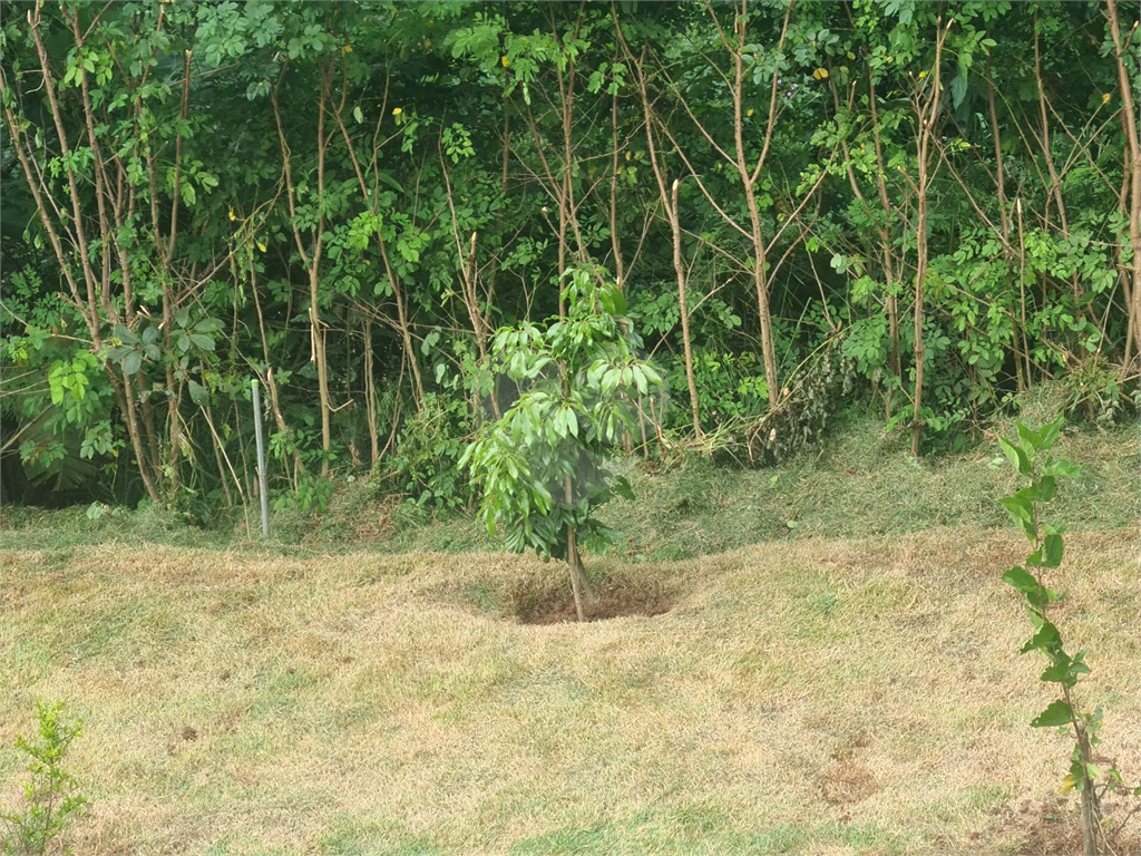 terreno serra  cantareira
