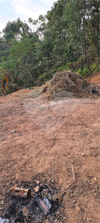 terreno serra  cantareira