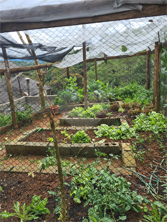 terreno serra  cantareira