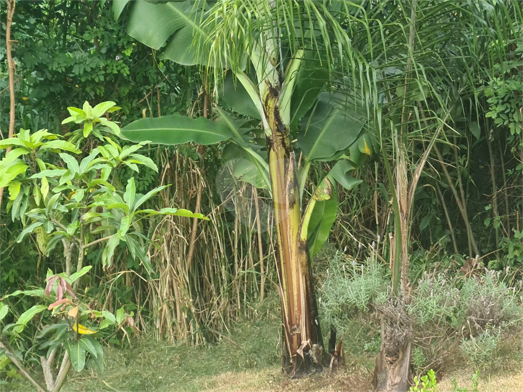 terreno serra  cantareira