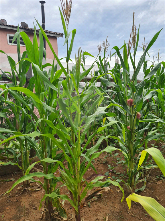 terreno serra  cantareira