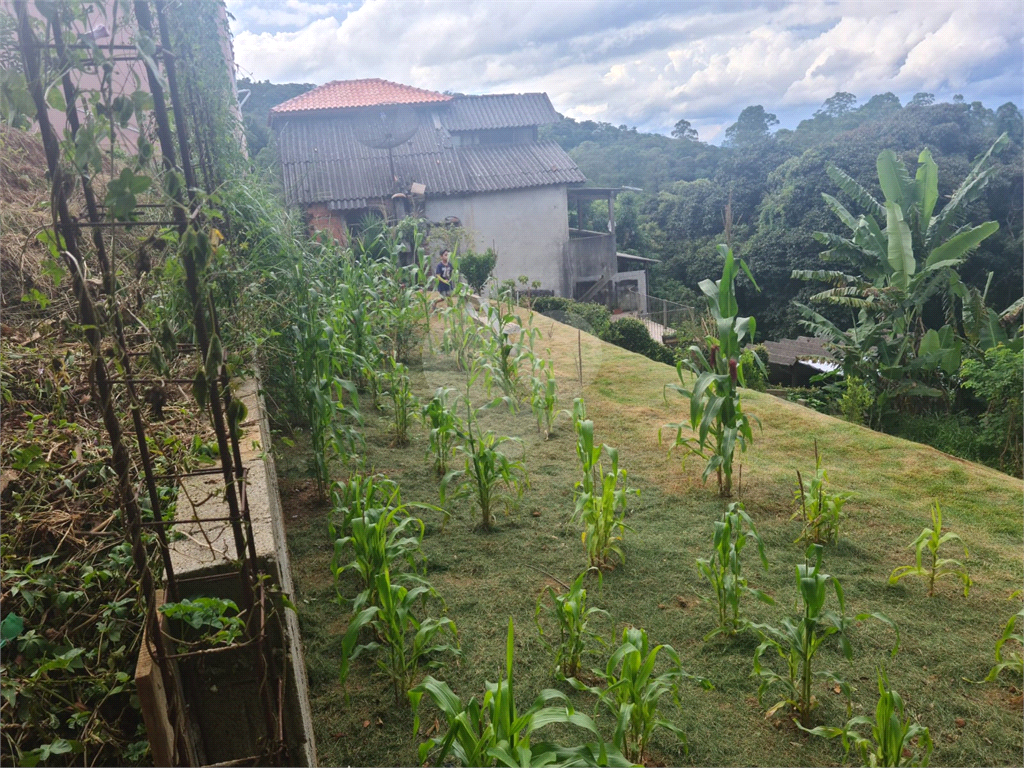 terreno serra  cantareira