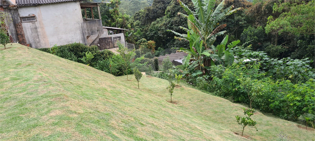 terreno serra  cantareira