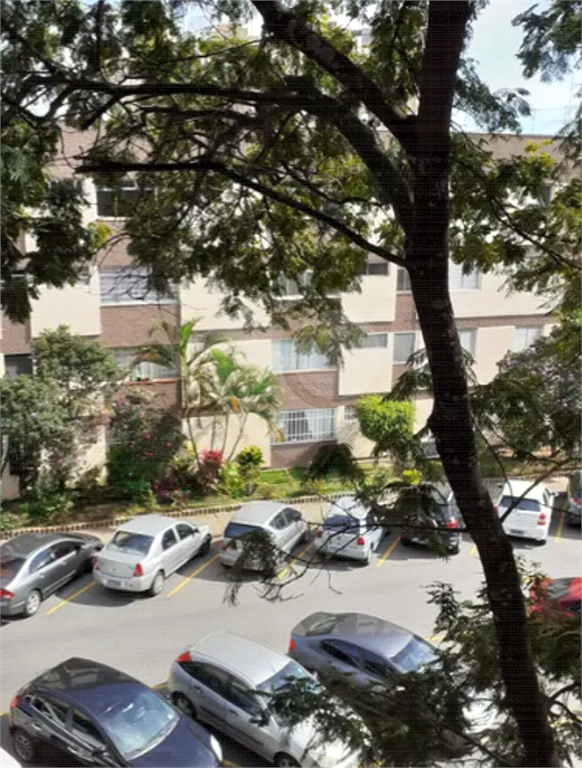 APARTAMENTO em LAPA