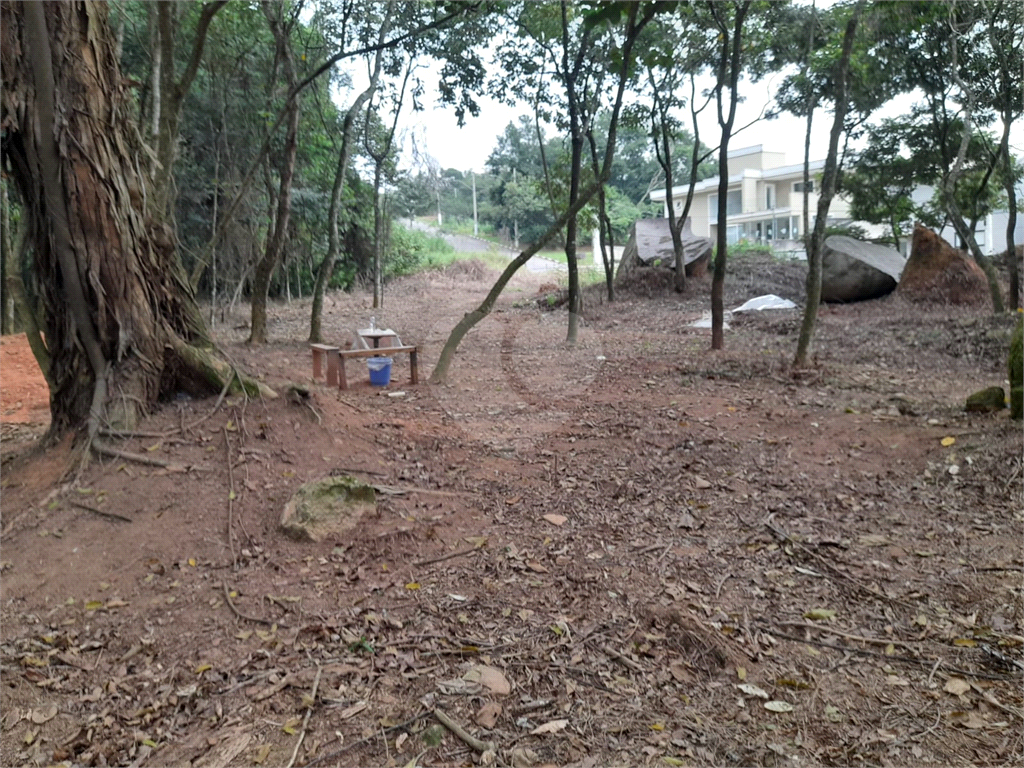 Terreno com 410m2, no Parque Itaguaçu da Cantareira, pouco aclive, árvores parcialmente removidas.