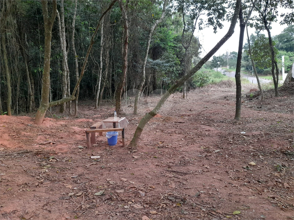 Terreno com 410m2, no Parque Itaguaçu da Cantareira, pouco aclive, árvores parcialmente removidas.