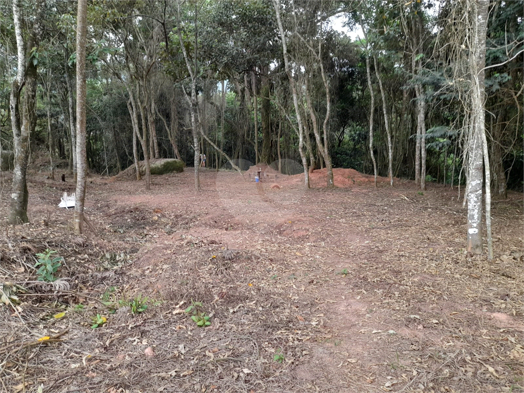 Terreno com 410m2, no Parque Itaguaçu da Cantareira, pouco aclive, árvores parcialmente removidas.