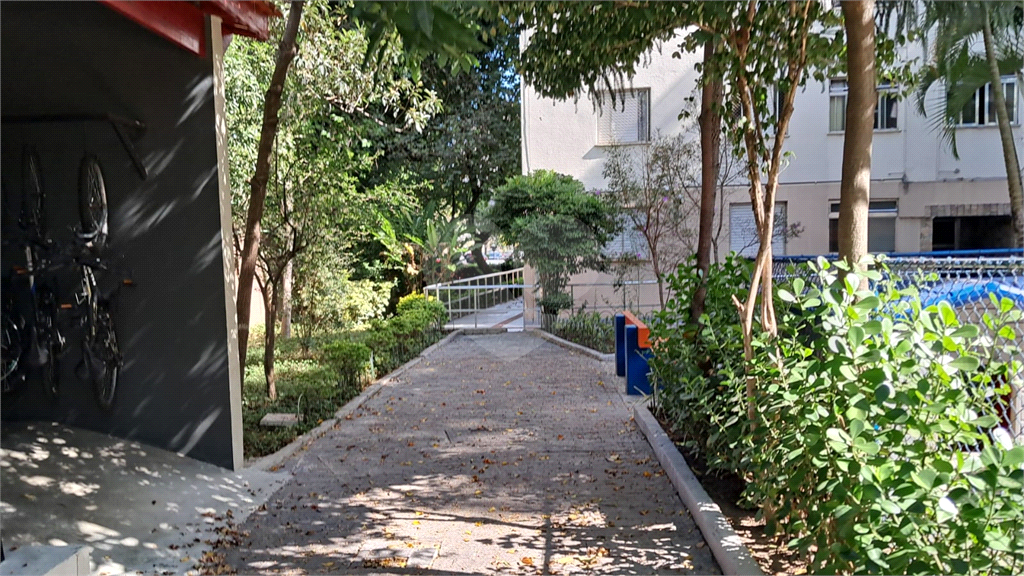 Excelente apartamento no lauzane paulista