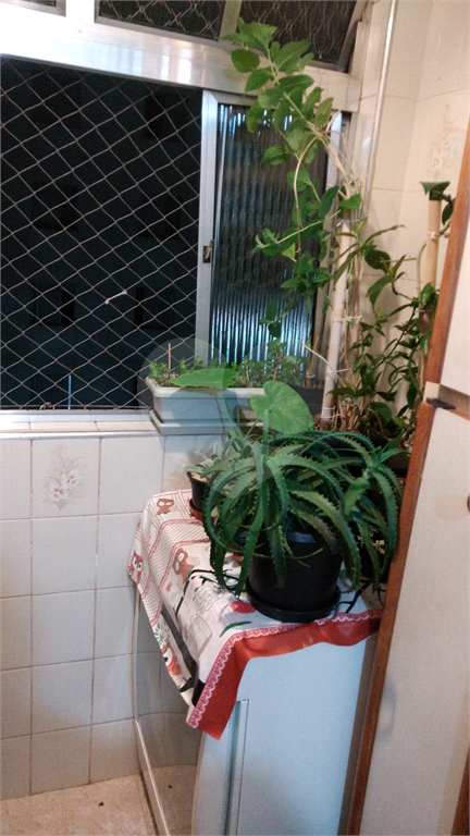 Excelente apartamento no lauzane paulista