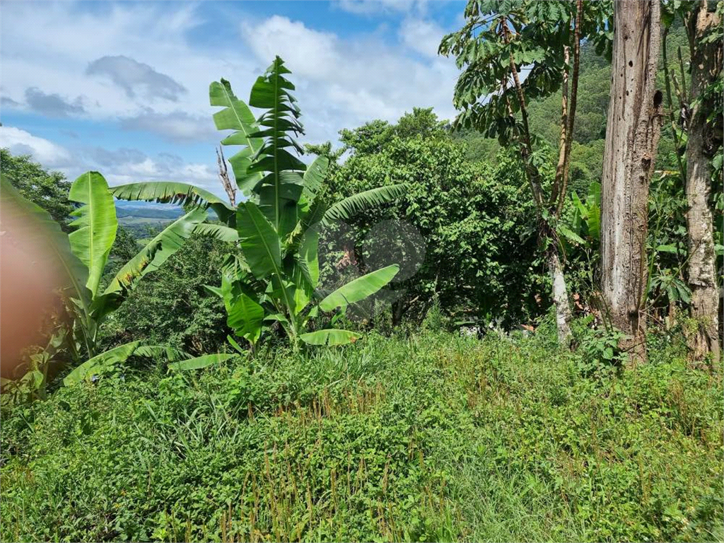 Bragança Paulista Sítio com 48.000 m² com escritura um Paraiso a 1 hora de São Paulo!!!