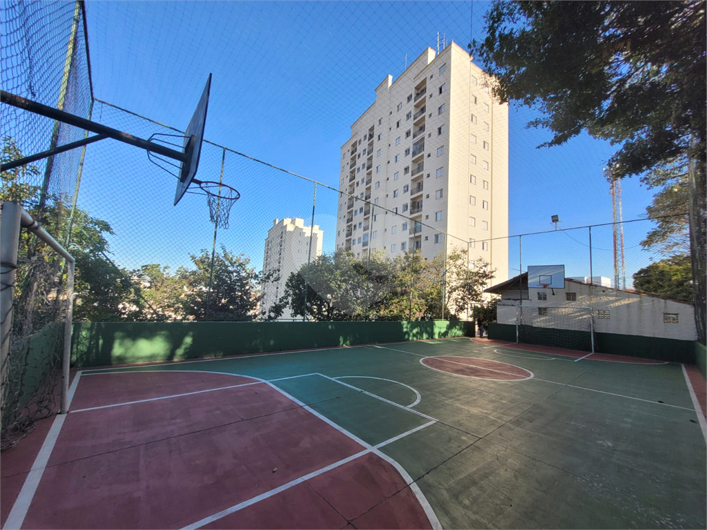Otima Oportunidade - Apartamento 50m² - Tucuruvi 