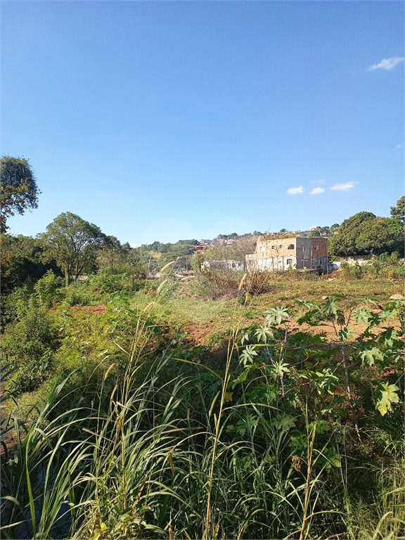 Terreno à venda, 10263m² - Foto 3