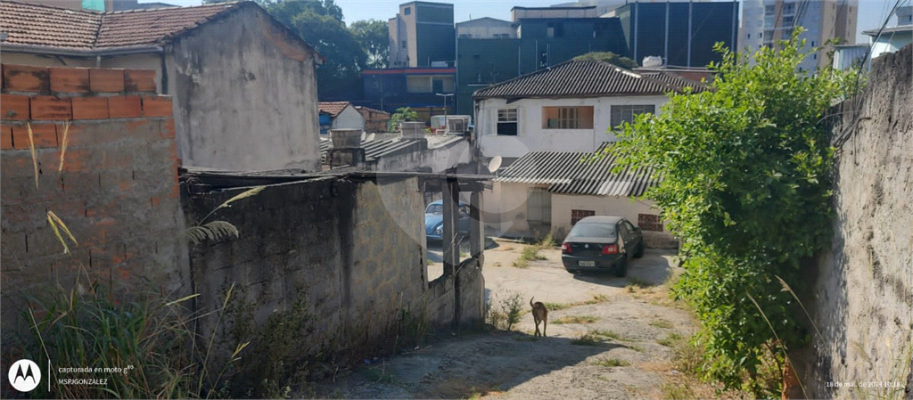 TERRENO em JAGUARÉ