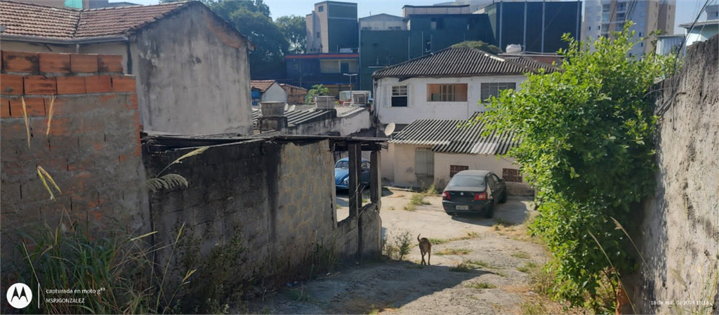 TERRENO em JAGUARÉ