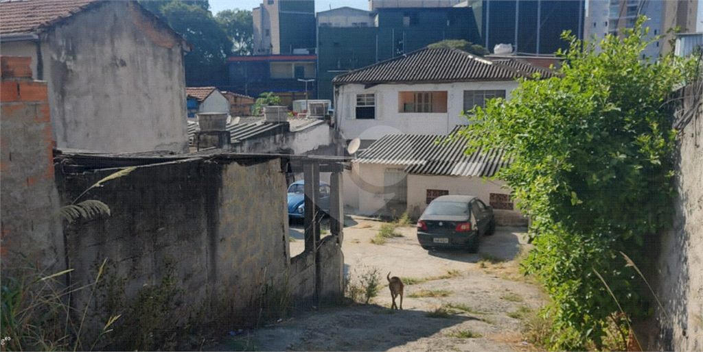 TERRENO em JAGUARÉ