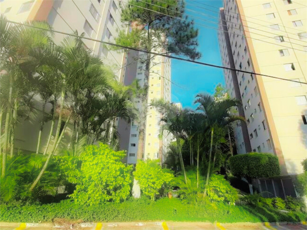 Apartamento com 02 dormitórios em Pedra Branca São Paulo/SP