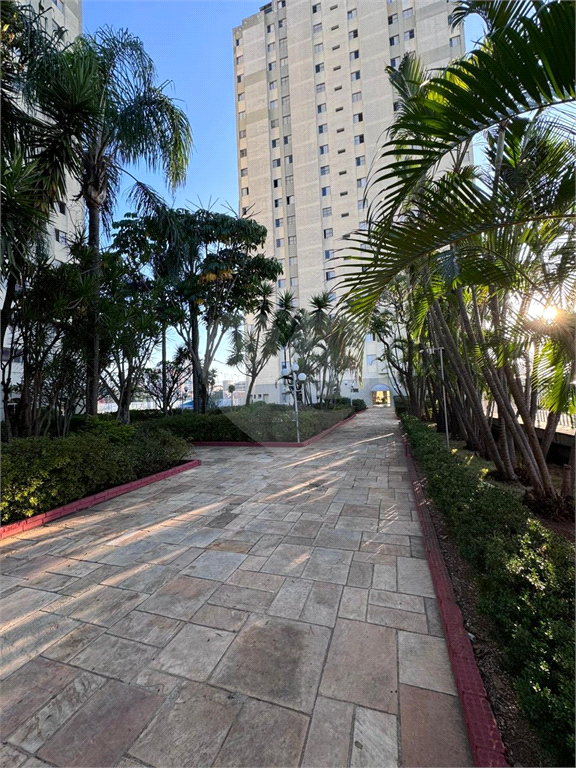 APARTAMENTO em PENHA