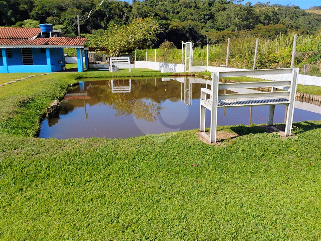 Fazenda à venda com 3 quartos, 5800m² - Foto 4