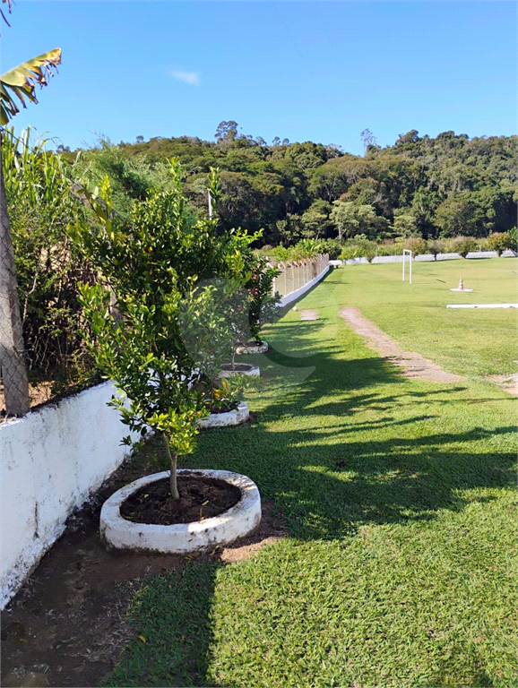 Fazenda à venda com 3 quartos, 5800m² - Foto 6