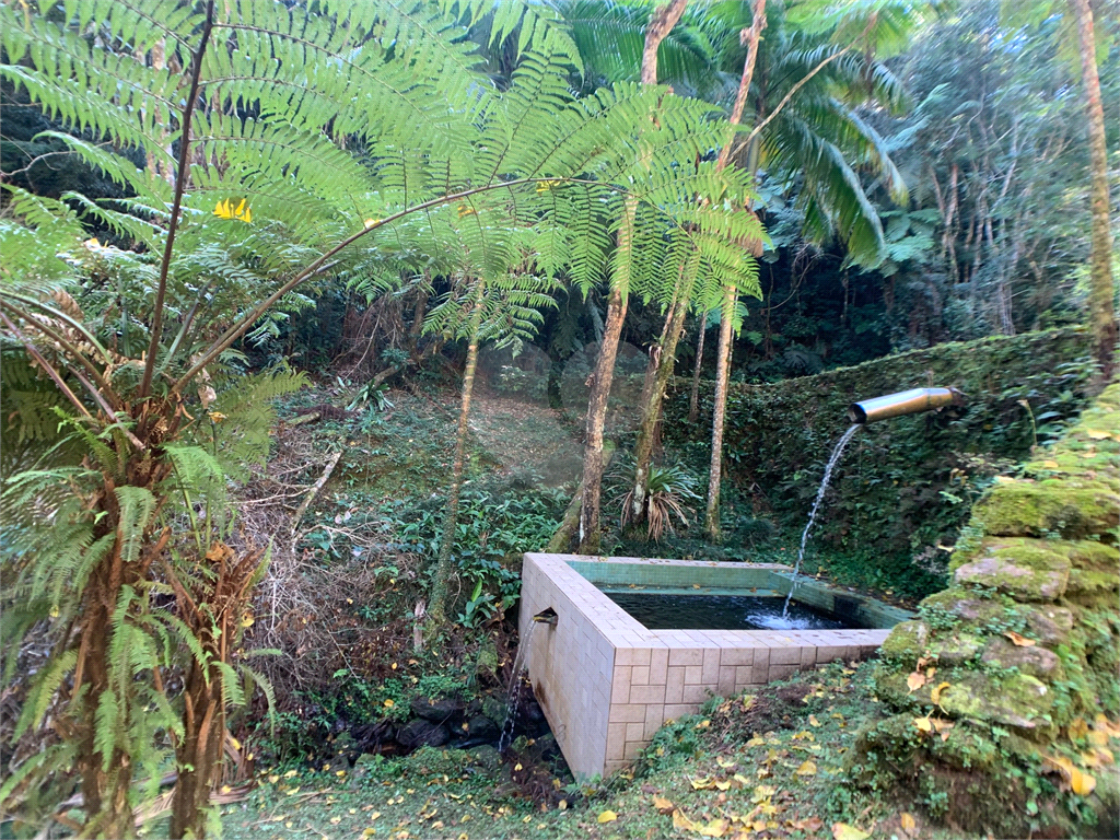 Sítio à venda em São Lourenço da Serra