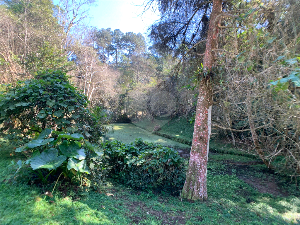 Sítio à venda em São Lourenço da Serra
