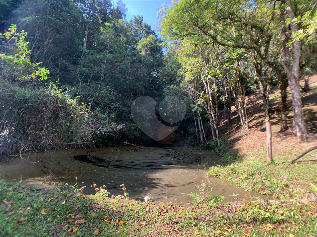 Sítio à venda em São Lourenço da Serra