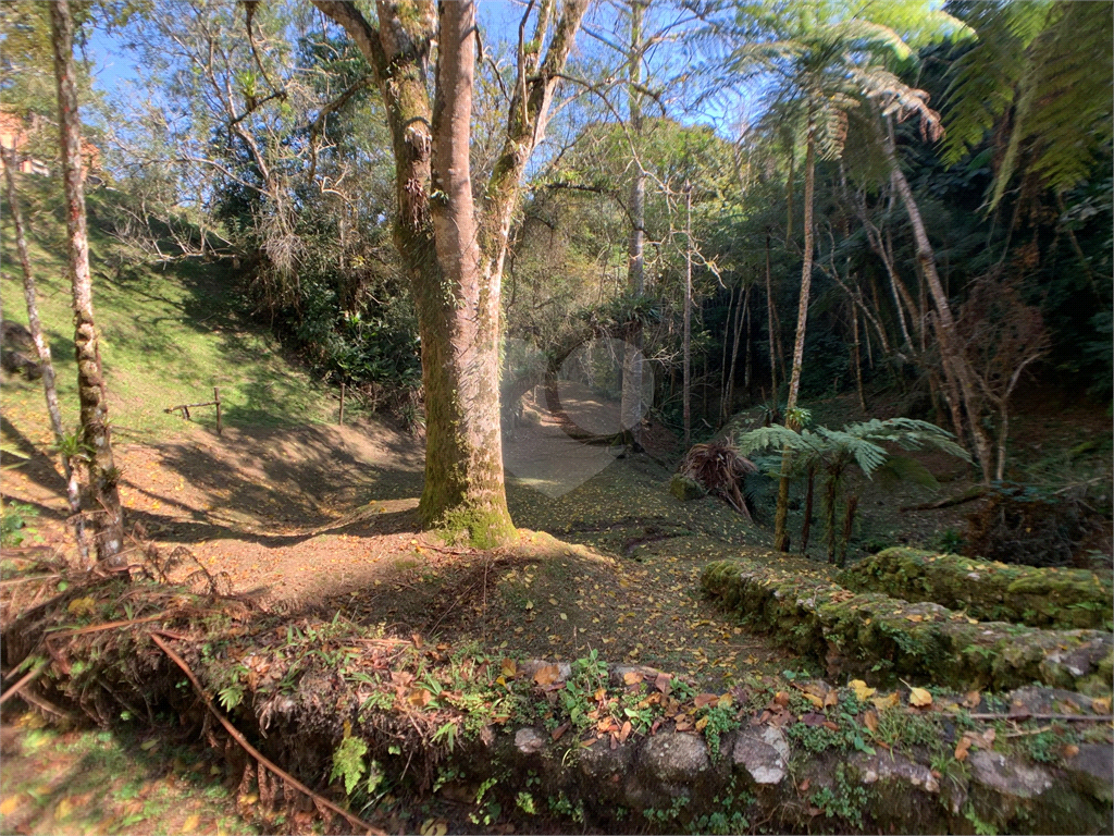 Sítio à venda em São Lourenço da Serra