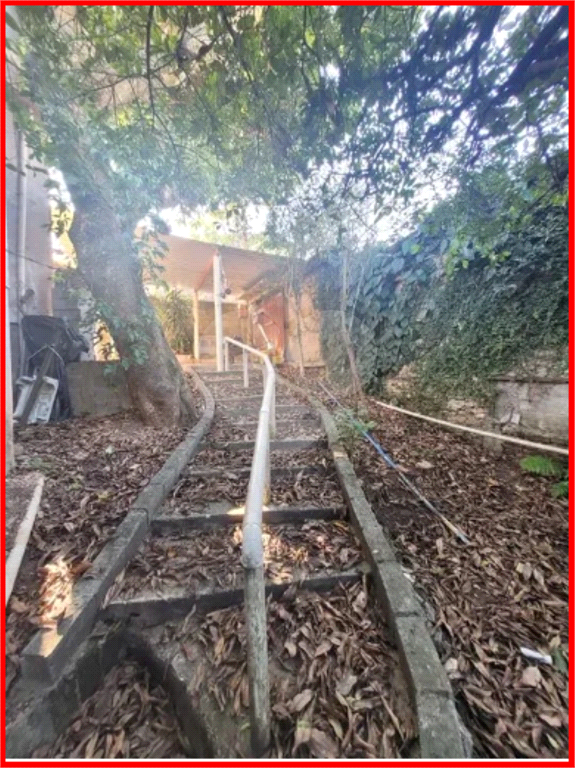 CASA TÉRREA em JABAQUARA