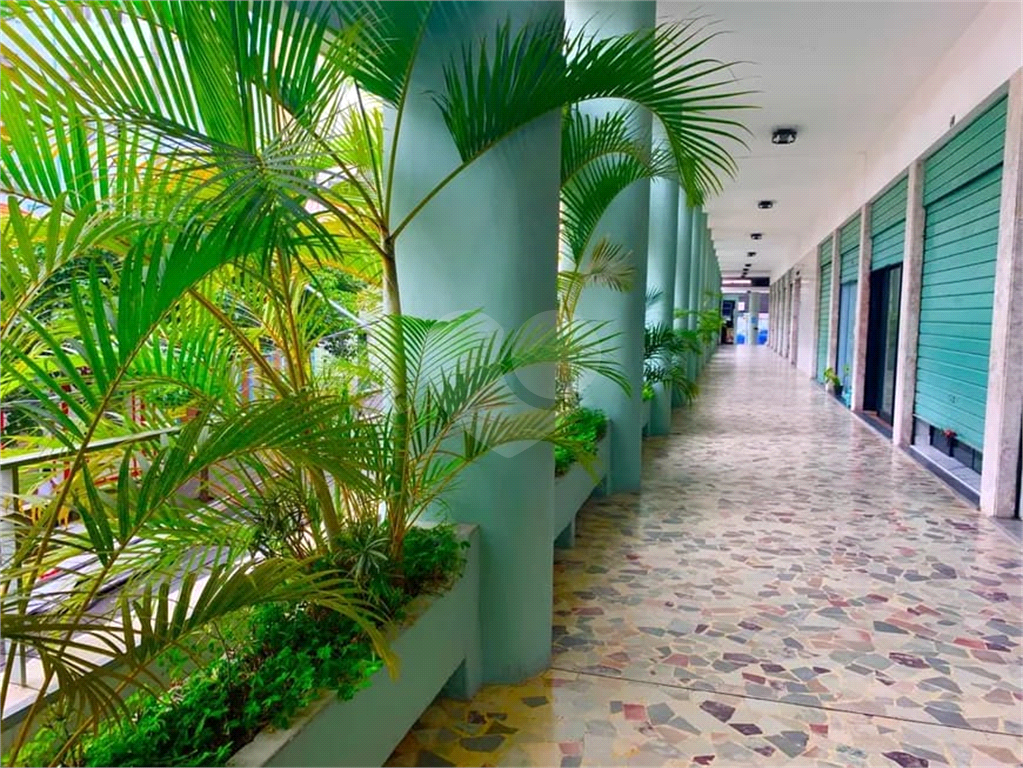 Apartamento 2 vagas Bela Vista