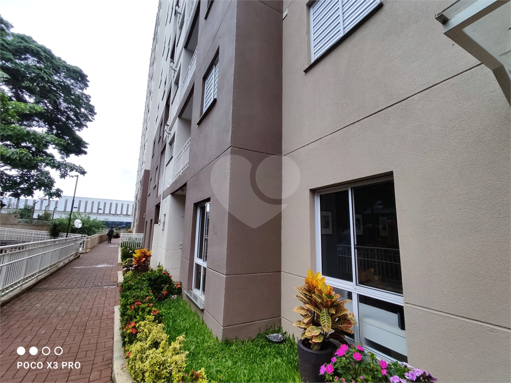 APARTAMENTO em MANDAQUI