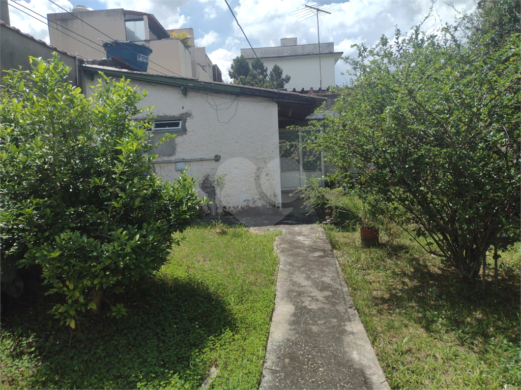 Terreno plano 10 x 50 metros na região do Tremembé