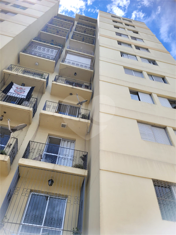 APARTAMENTO NO MANDAQUI COM VISTA LIVRE 
