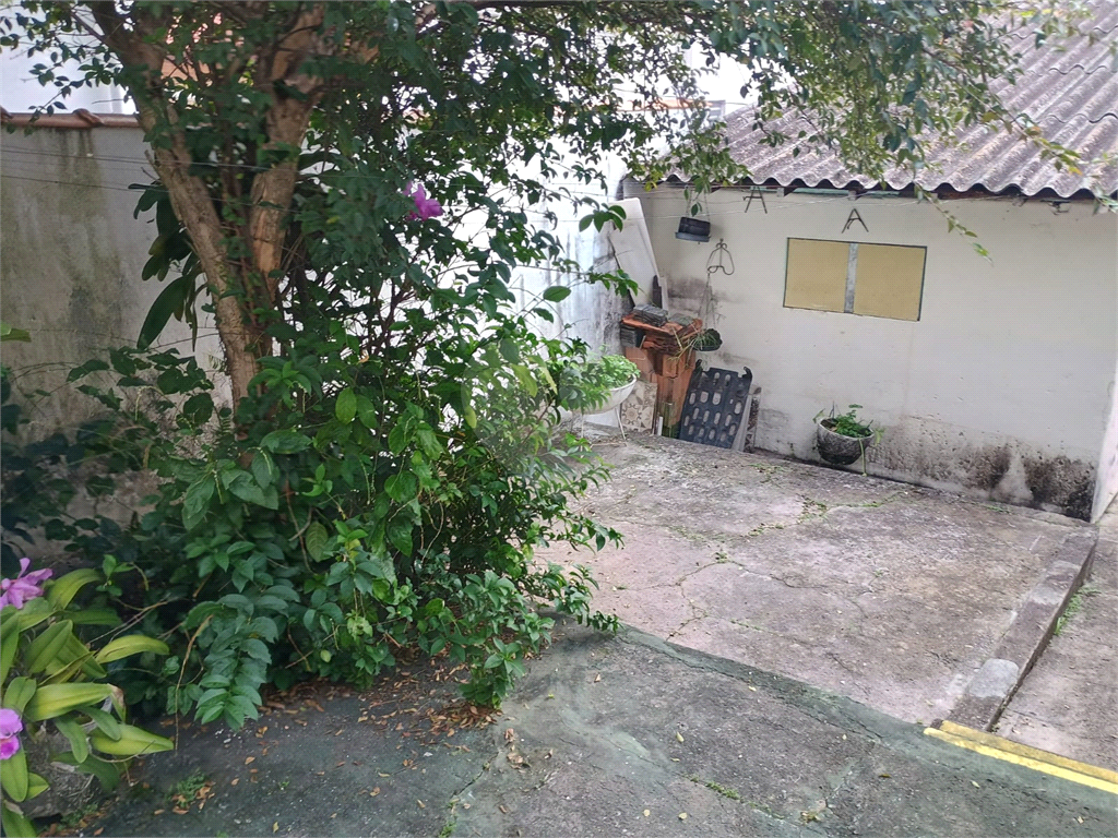 CASA em TUCURUVI
