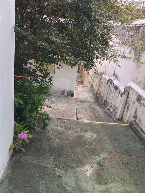 CASA em TUCURUVI