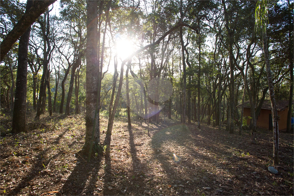 Terreno à venda, 2000m² - Foto 6