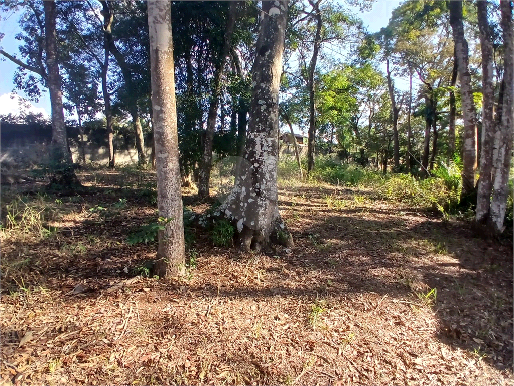 Terreno à venda, 2000m² - Foto 8