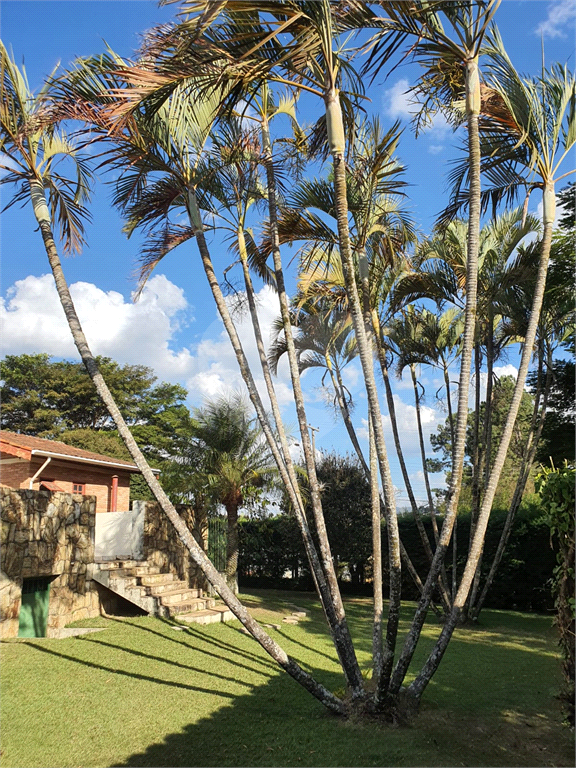 CHÁCARA em VALE DOS PINHEIROS