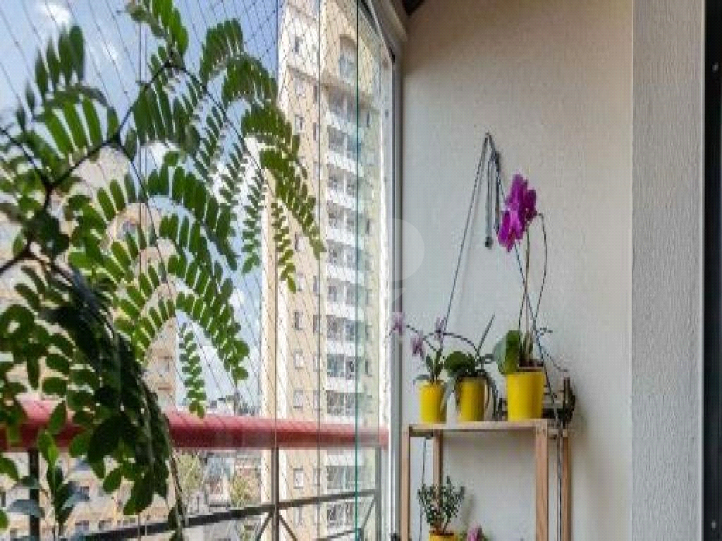 Apartamento, 3 quartos, 76 m² - Foto 3