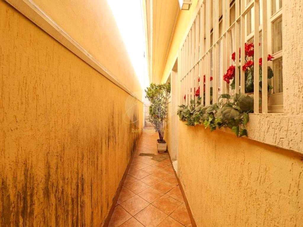 Casa, 4 quartos, 225 m² - Foto 16