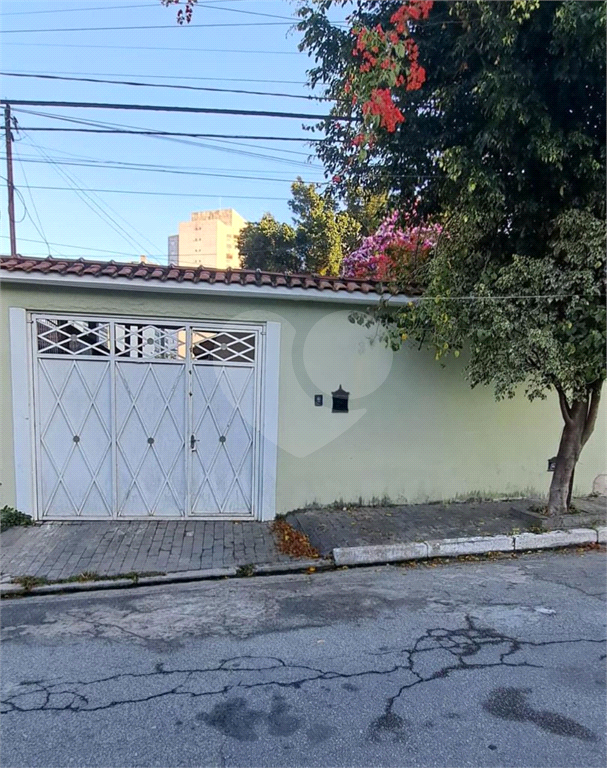 TERRENO em VILA PRUDENTE