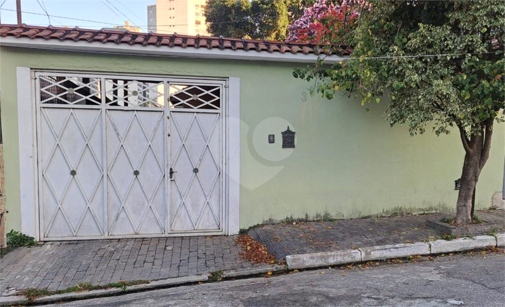 TERRENO em VILA PRUDENTE