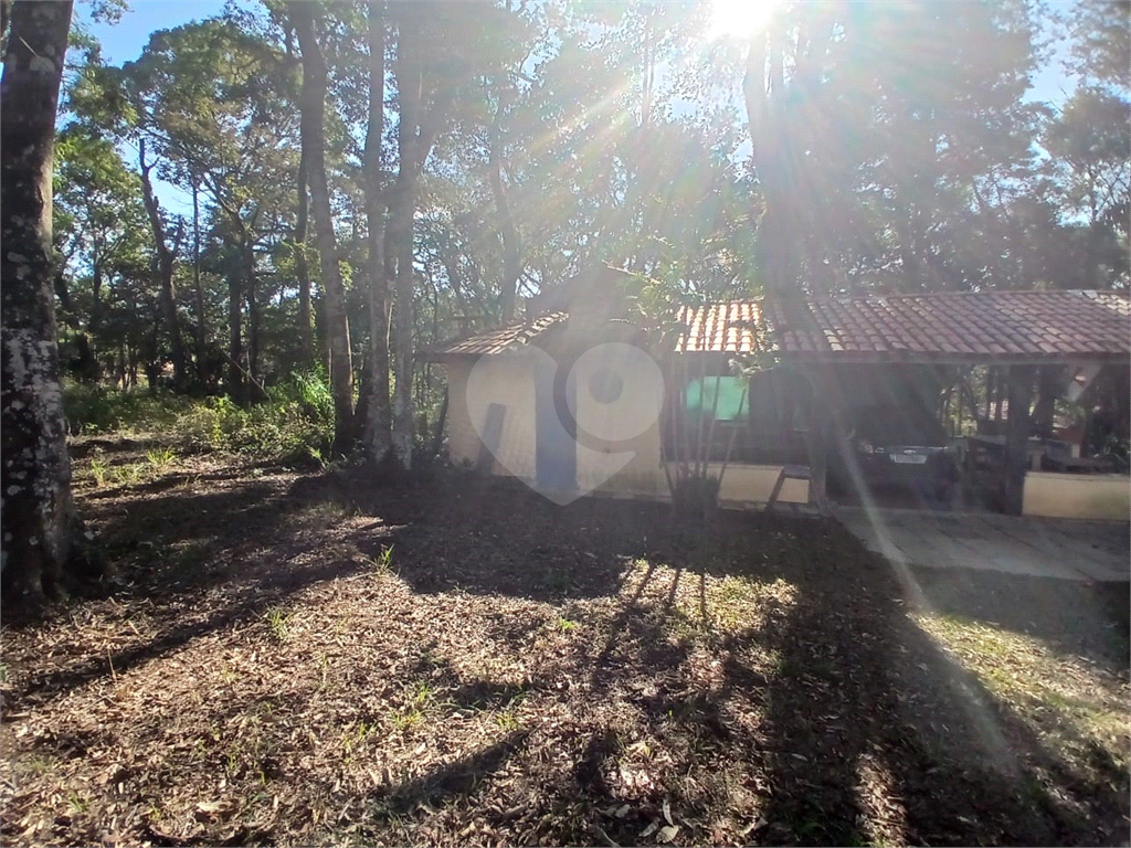 Terreno à venda, 2000m² - Foto 3