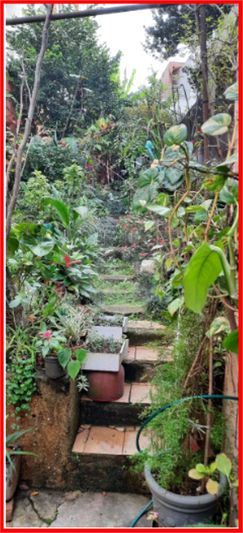 CASA TÉRREA em JABAQUARA