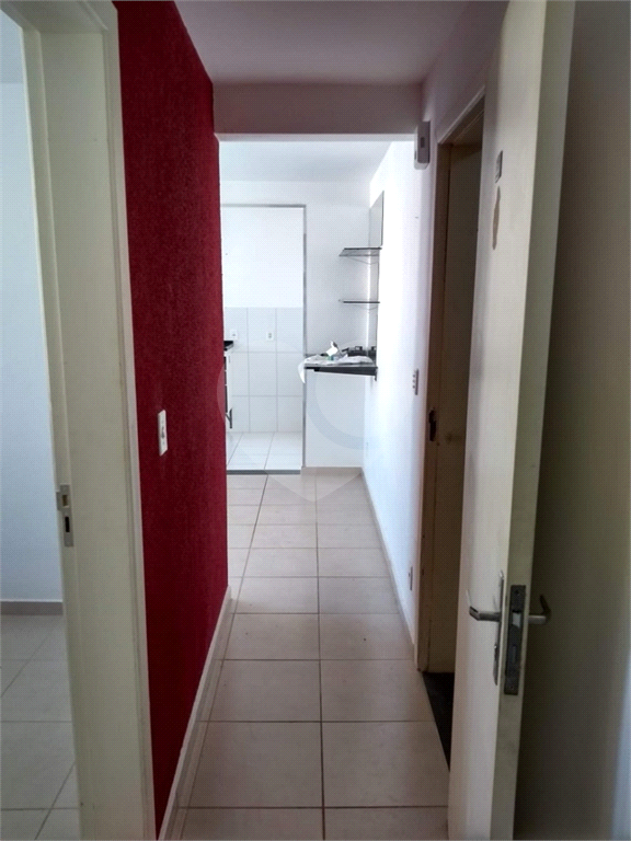 Apartamento à venda com 2 quartos, 50m² - Foto 23