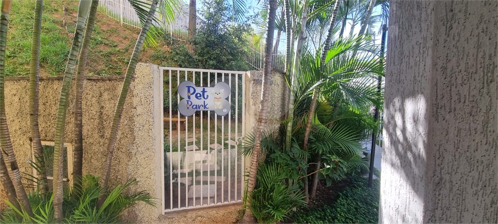 Apartamento no Bairro do Limão 