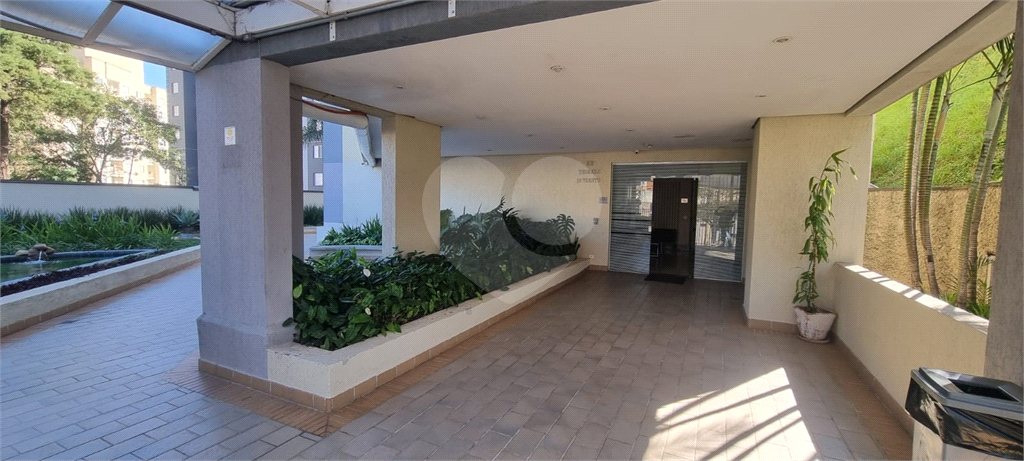 Apartamento no Bairro do Limão 