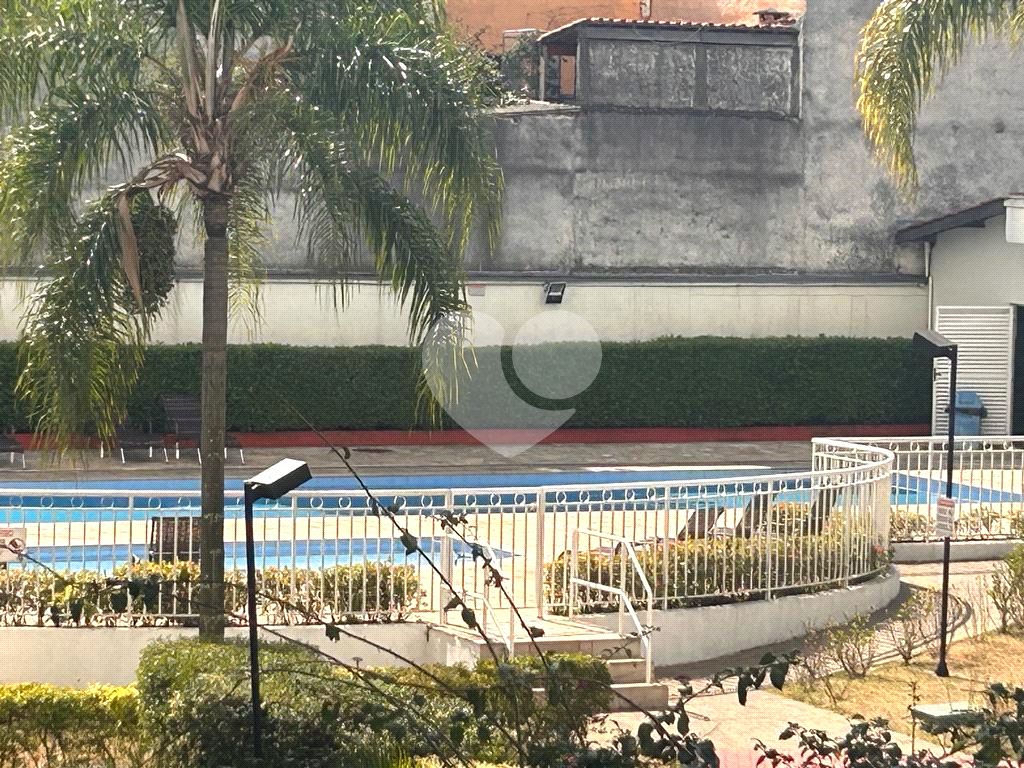 Lindo Apartamento - com 49m² - Otíma região