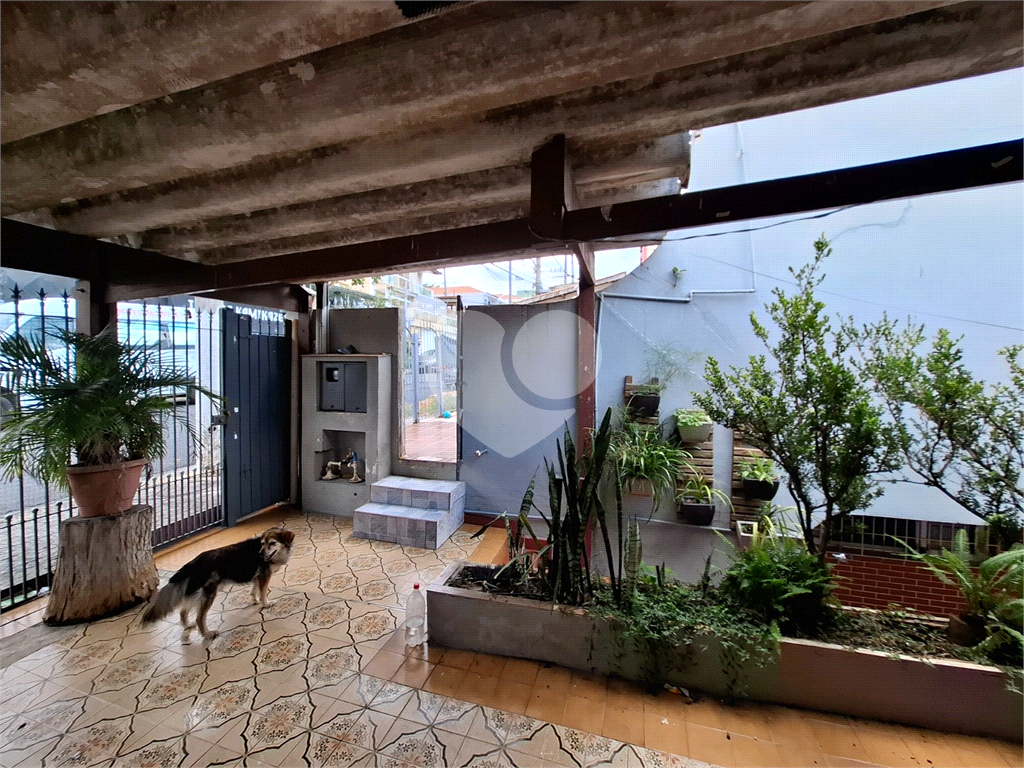 CASA em TUCURUVI