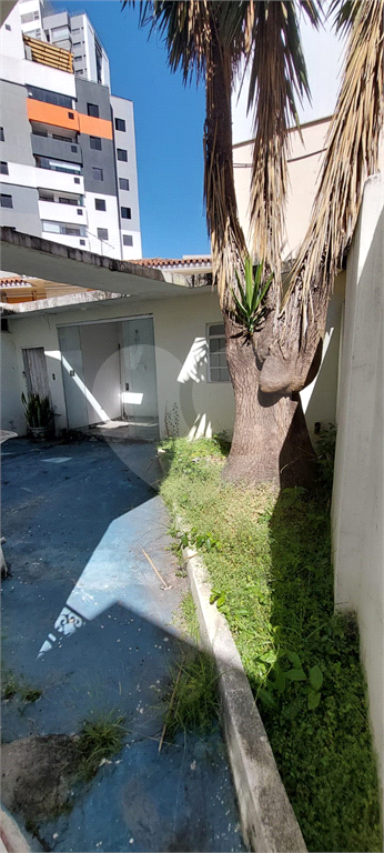 Terreno com 3 Casas em Vila Gustavo – Ideal para Construtores