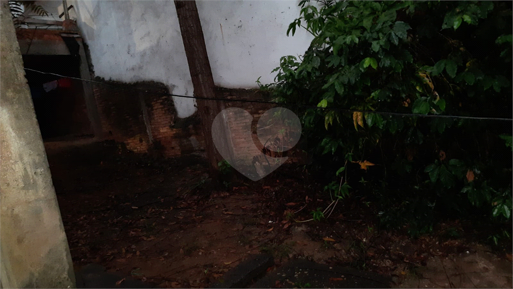 TERRENO em TUCURUVI